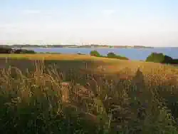 Felder auf Holnis in der Abendsonne