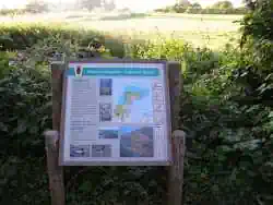 Info-Tafel Naturschutzgebiet Halbinsel Holnis